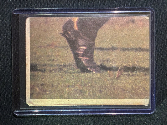 1980 Scanlens IAN MARSH Base #49