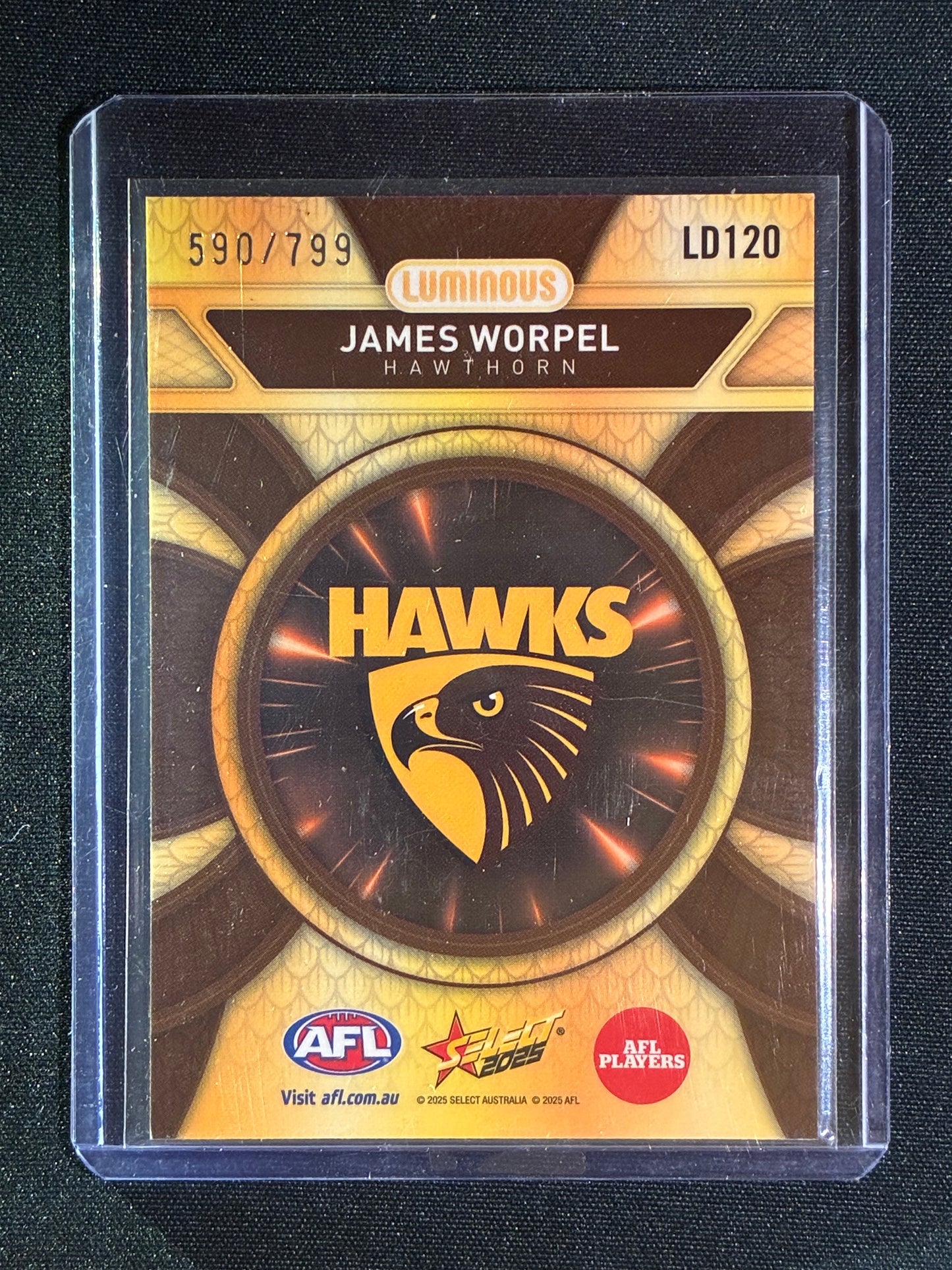 2025 Select Footy Stars JAMES WORPEL Luminous Dragon Scales 590/799 #120