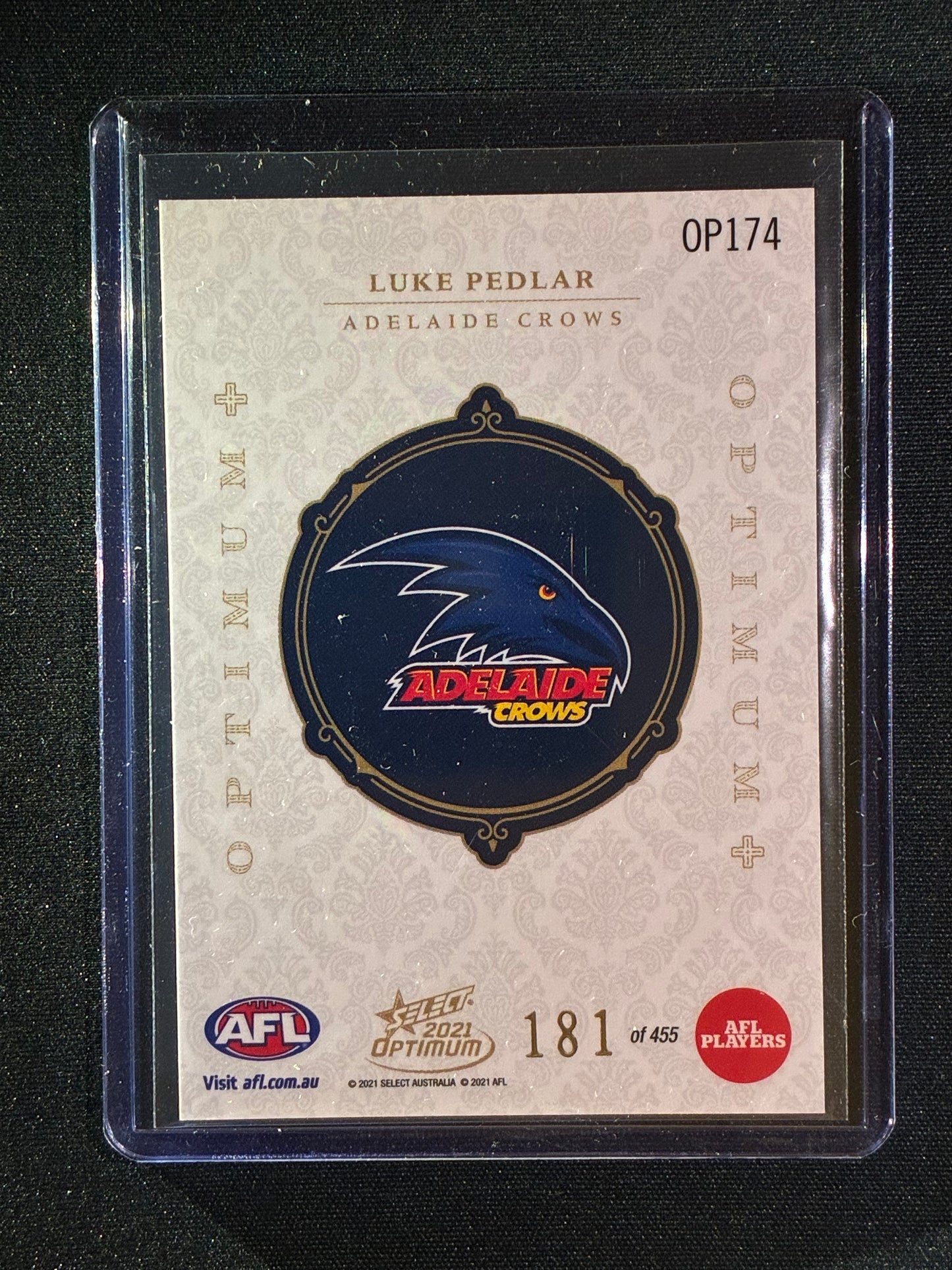 2021 Optimum LUKE PEDLAR Rookie Optimum+ Plus 181/455