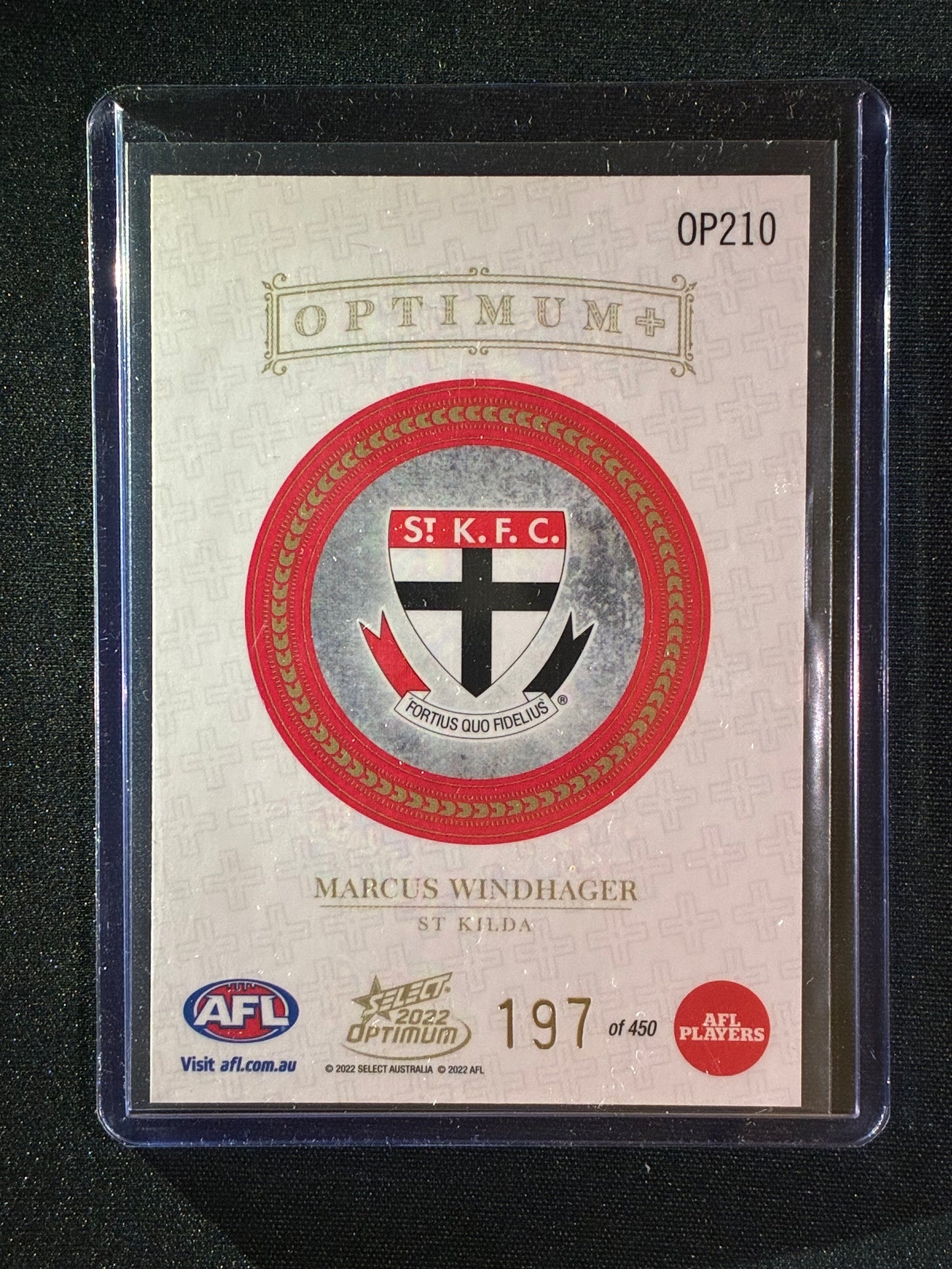 2022 Optimum MARCUS WINDHAGER Rookie Optimum+ Plus 197/450