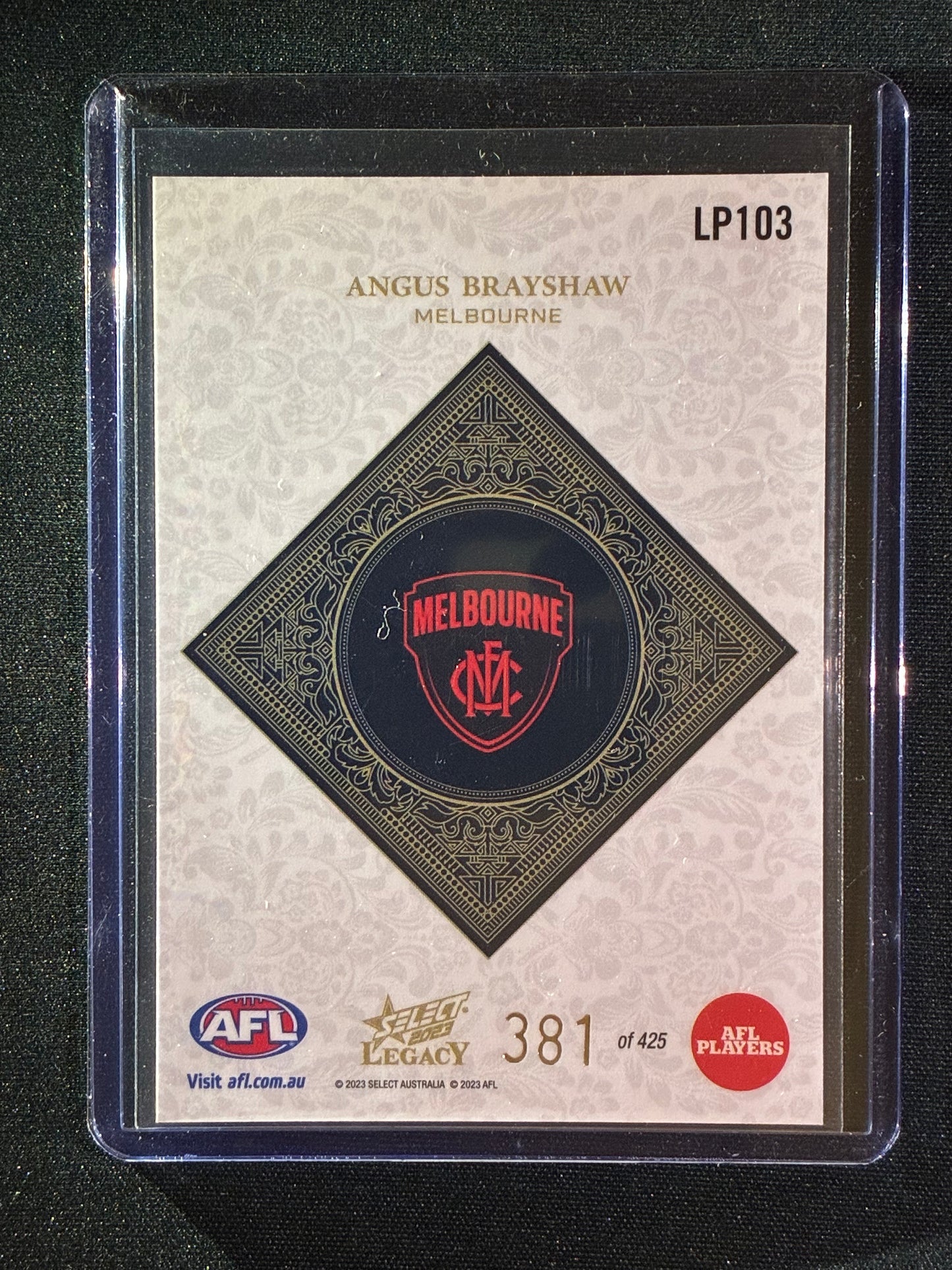 2023 Legacy ANGUS BRAYSHAW Legacy Plus 381/425