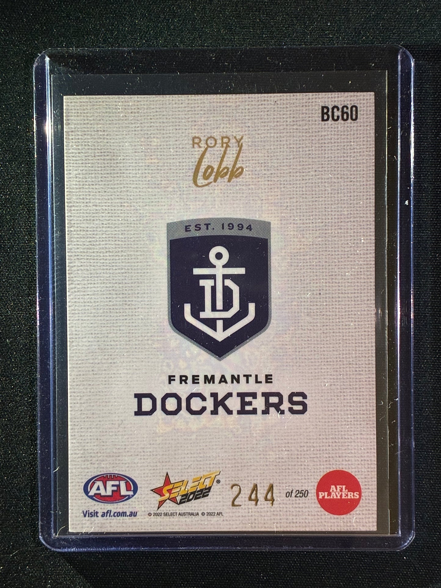2022 Footy Stars RORY LOBB Blank Canvas 244/250