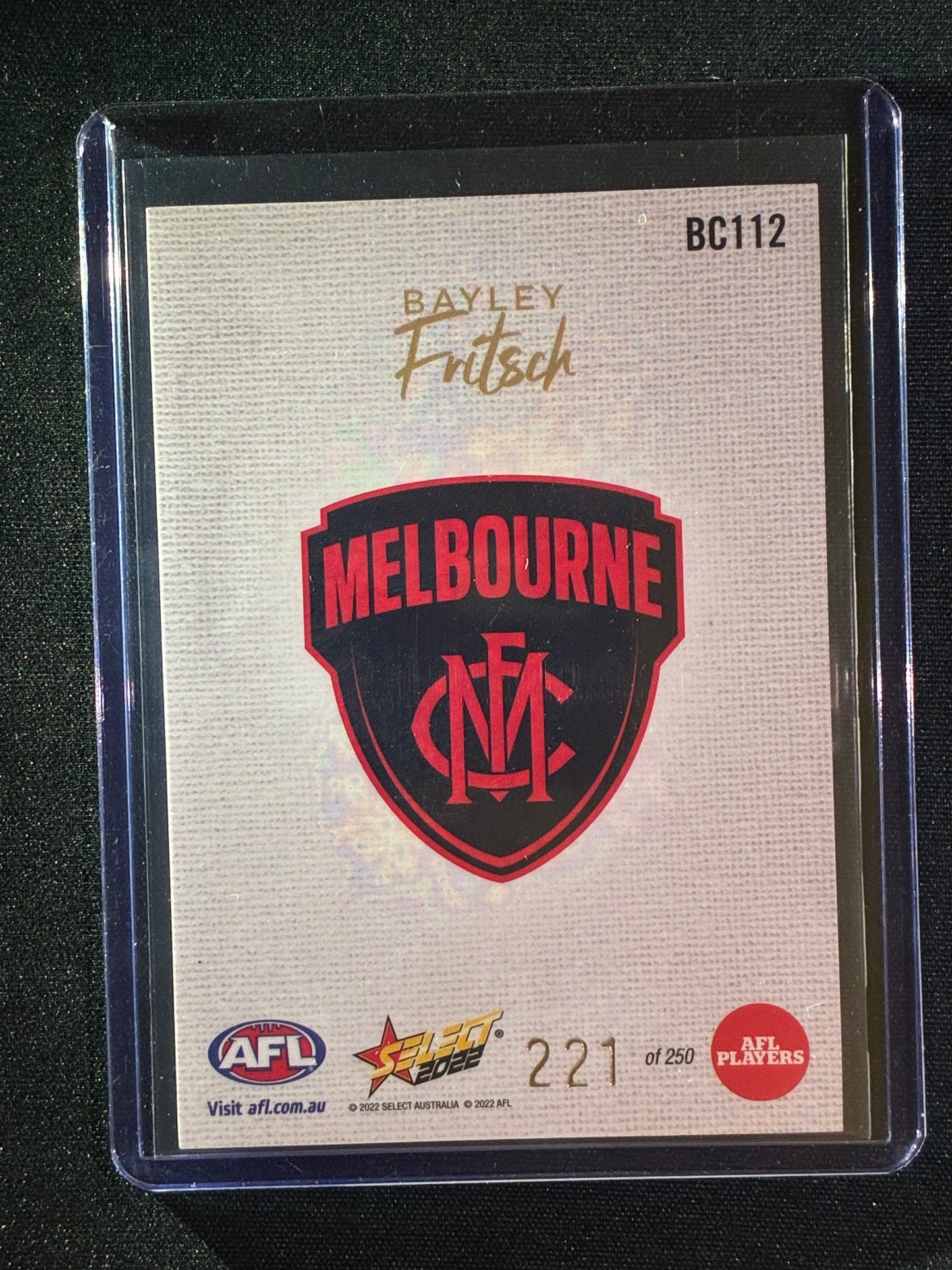 2022 Footy Stars BAYLEY FRITSCH Blank Canvas 221/250