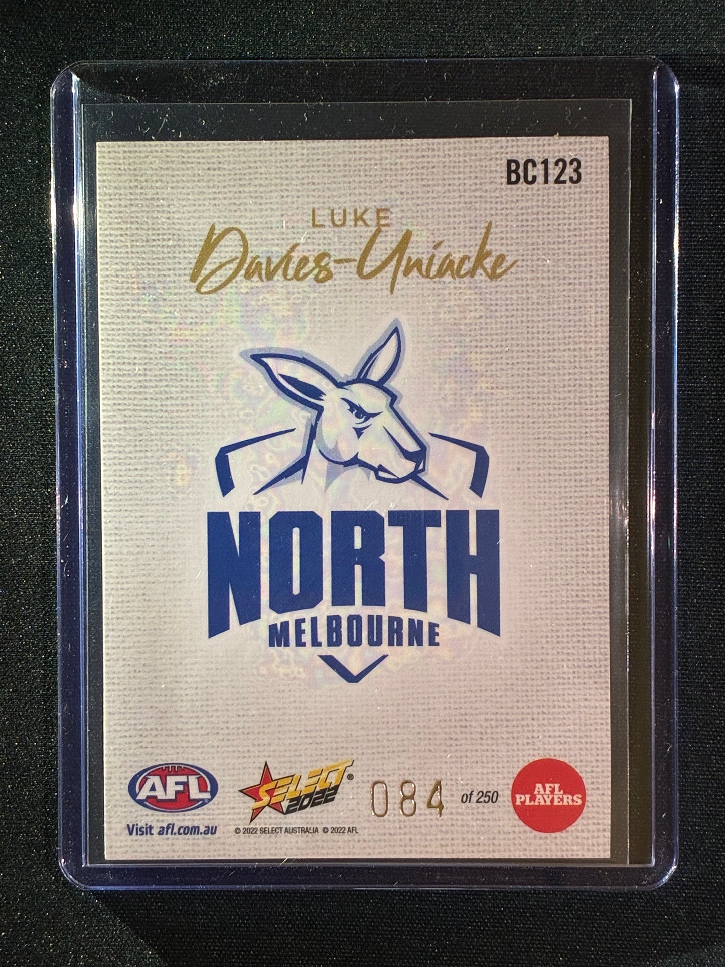 2022 Footy Stars LUKE DAVIES-UNIACKE Blank Canvas 84/250