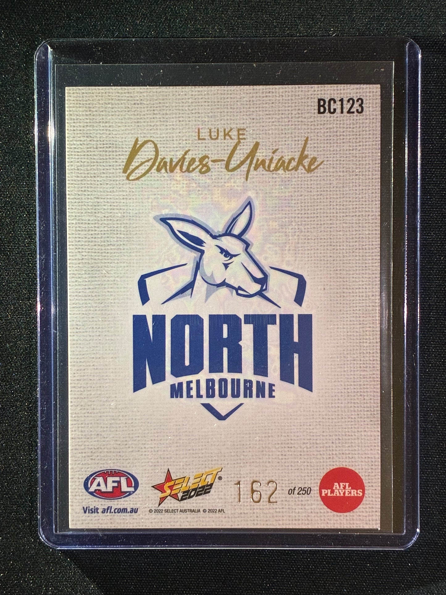 2022 Footy Stars LUKE DAVIES-UNIACKE Blank Canvas 162/250