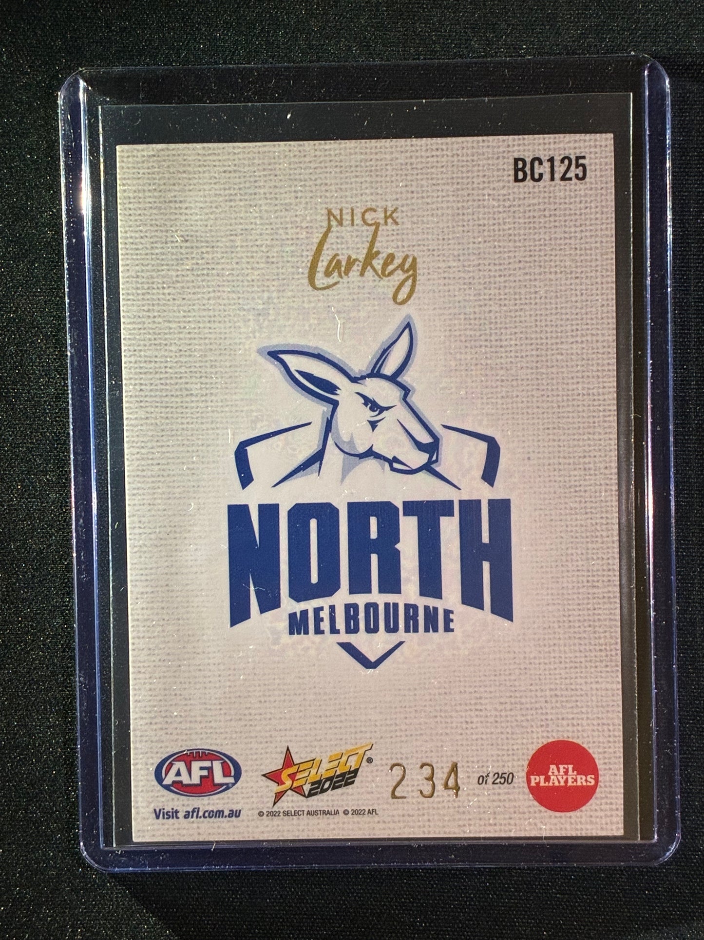 2022 Footy Stars NICK LARKEY Blank Canvas 234/250