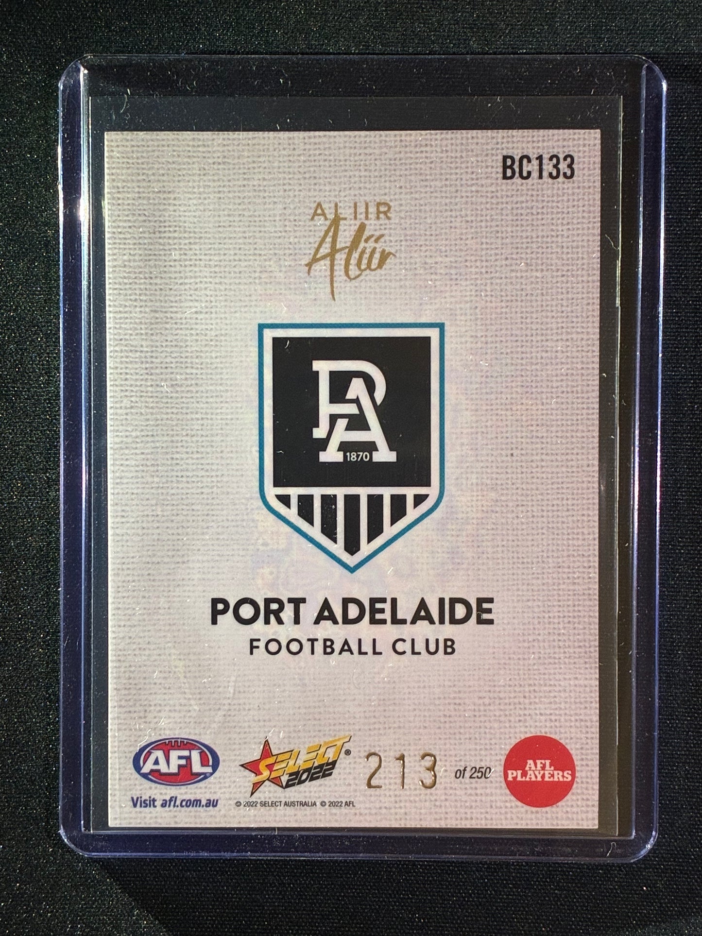 2022 Footy Stars ALIIR ALIIR Blank Canvas 213/250