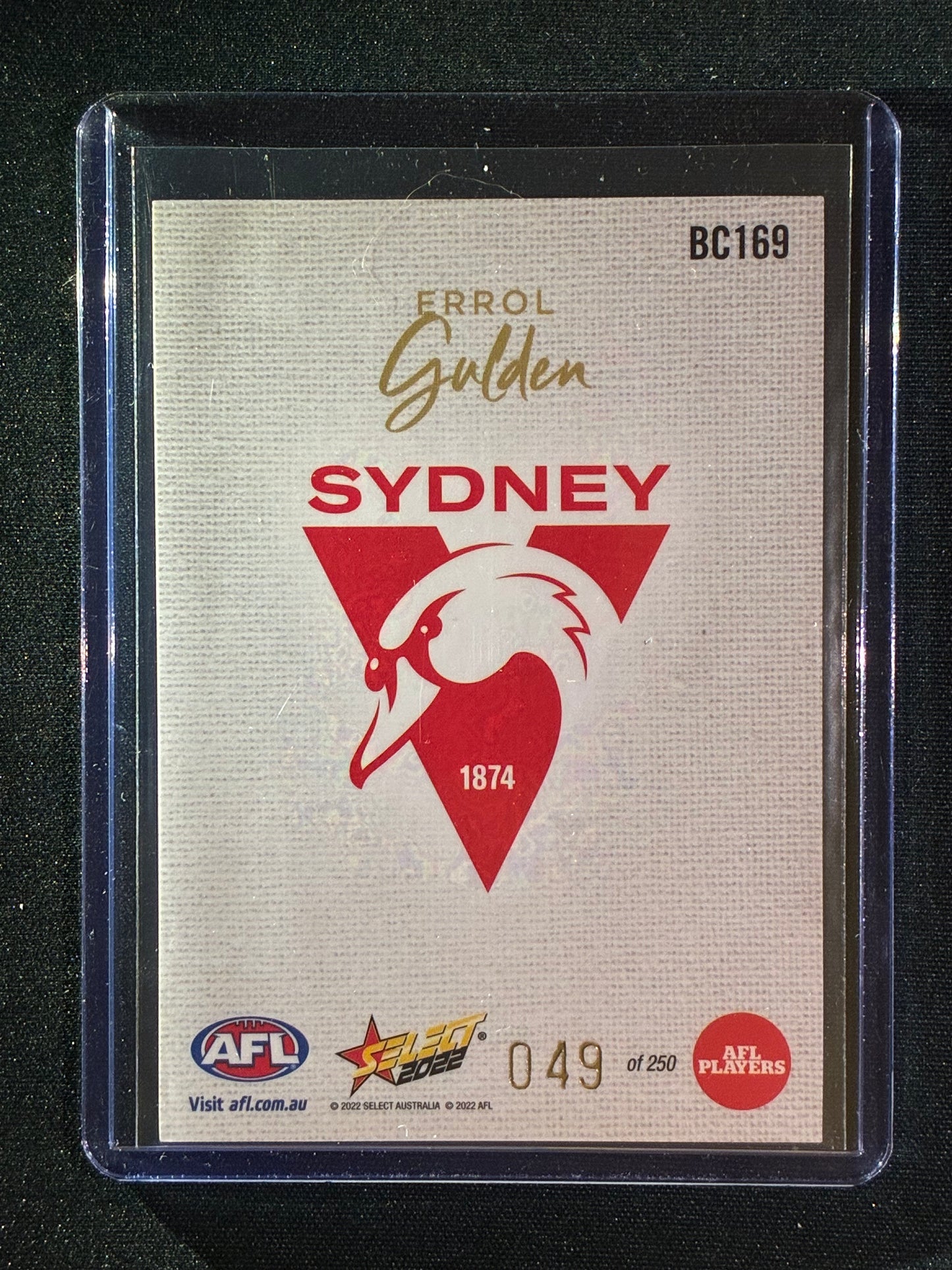 2022 Footy Stars ERROL GULDEN Blank Canvas 49/250