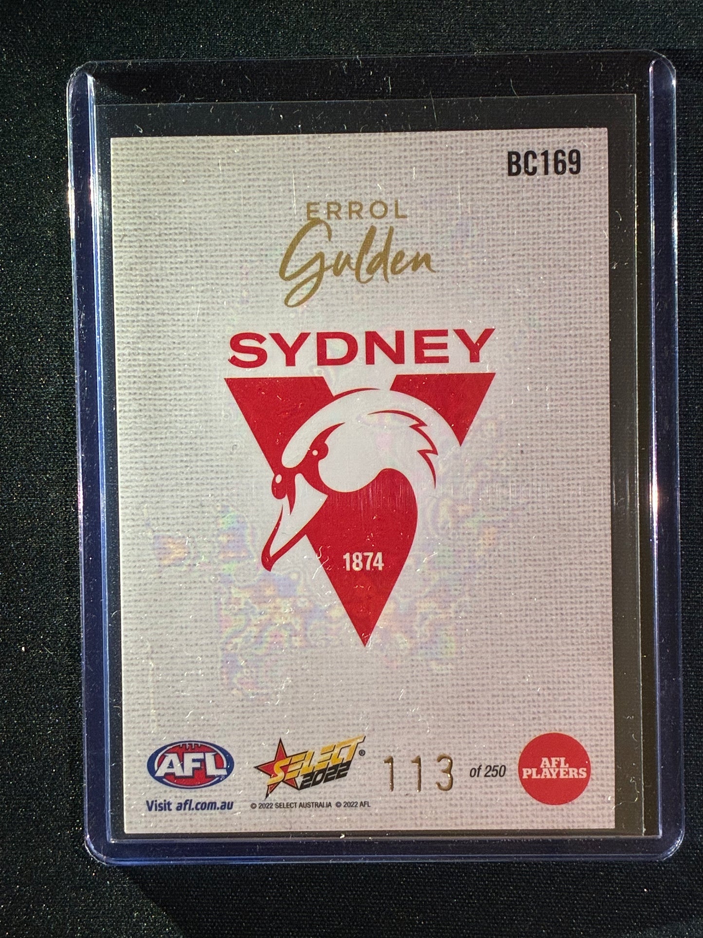 2022 Footy Stars ERROL GULDEN Blank Canvas 113/250