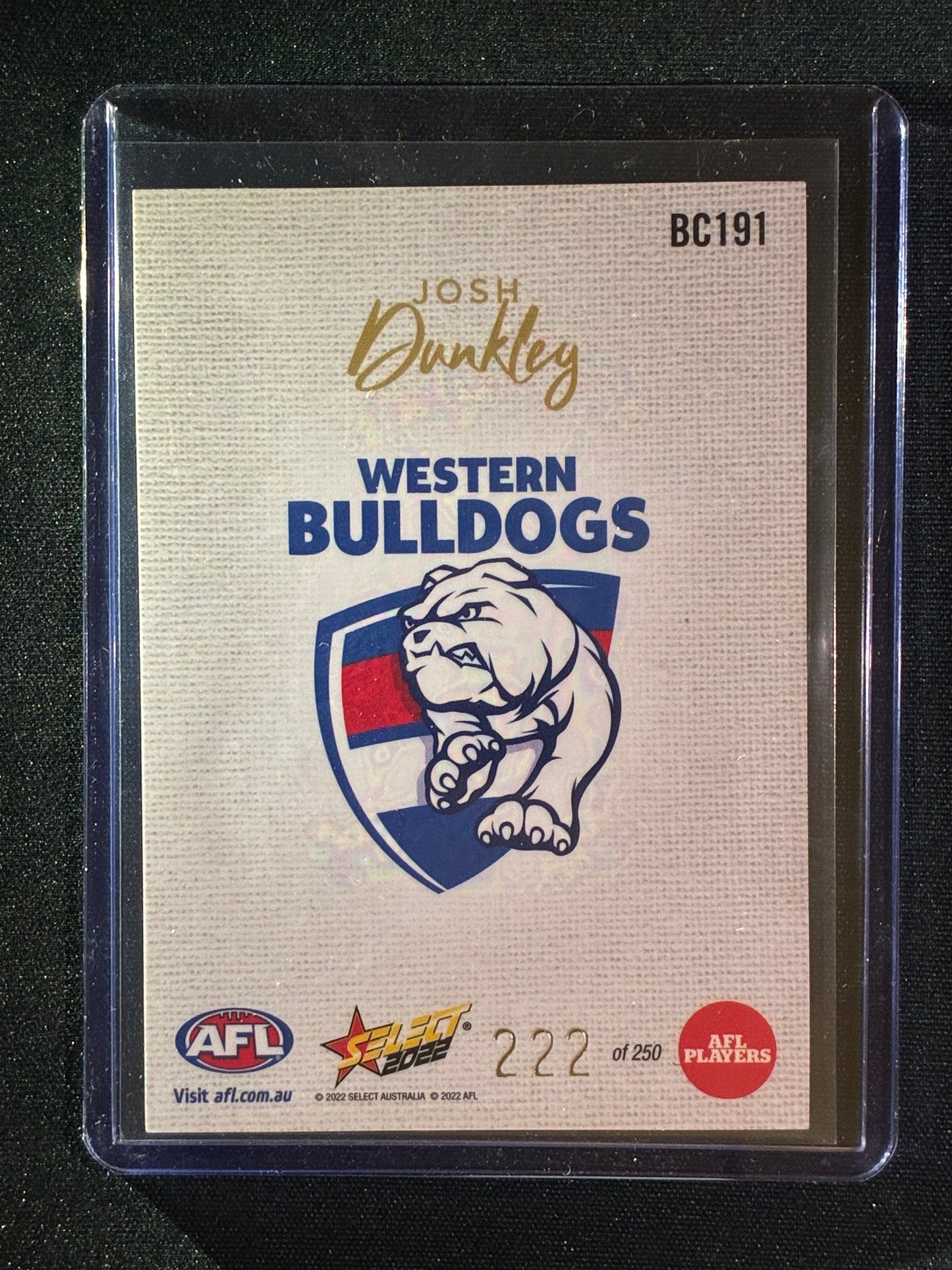 2022 Footy Stars JOSH DUNKLEY Blank Canvas 222/250