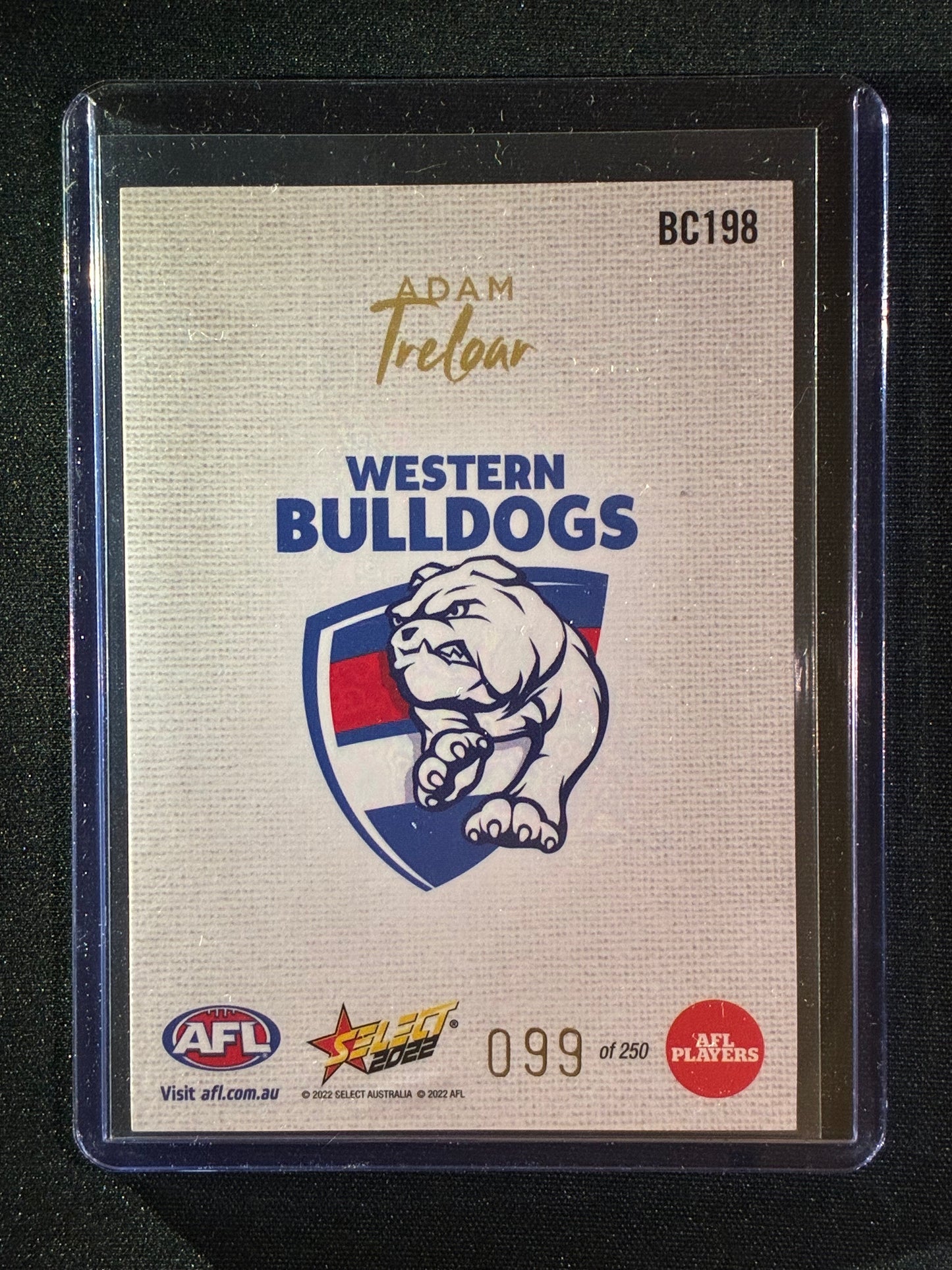 2022 Footy Stars ADAM TRELOAR Blank Canvas 99/250