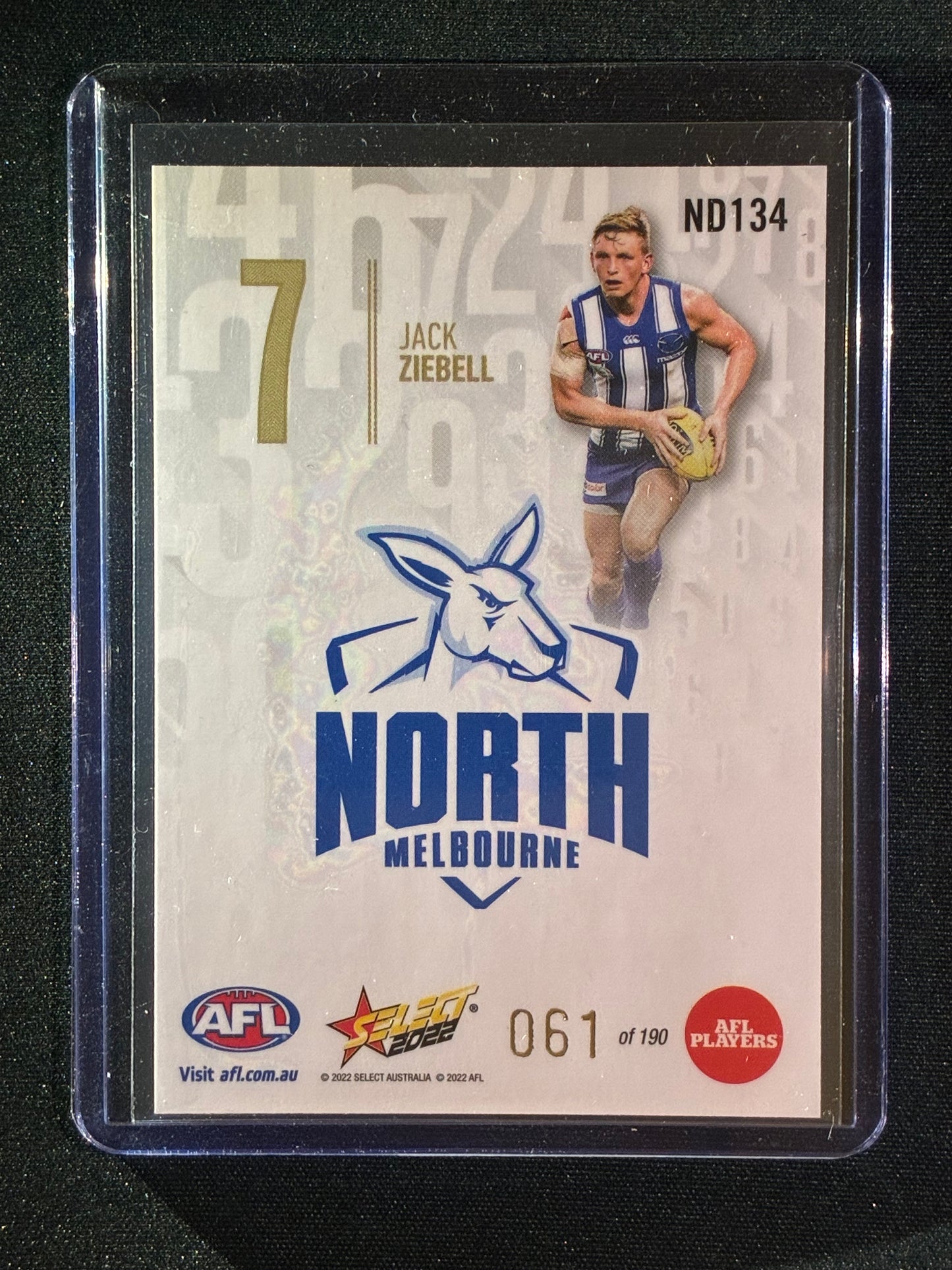 2022 Footy Stars JACK ZIEBEL Numbers Daylight 61/190