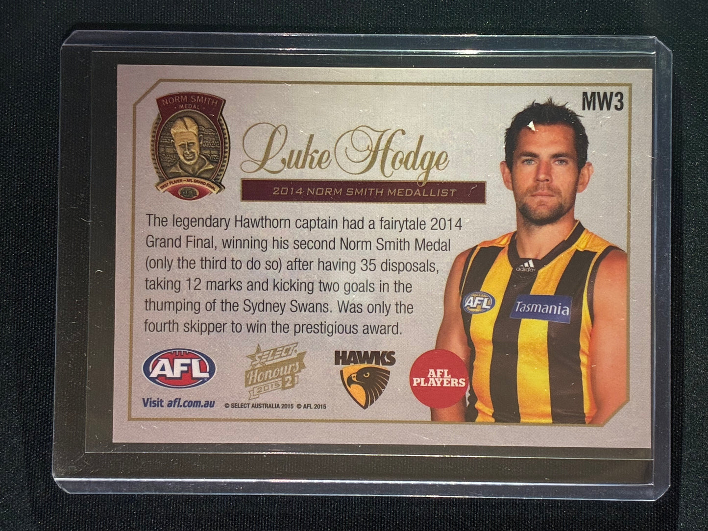 2015 Honours 2 LUKE HODGE 2014 Norm Smith Medal Winner #MW3