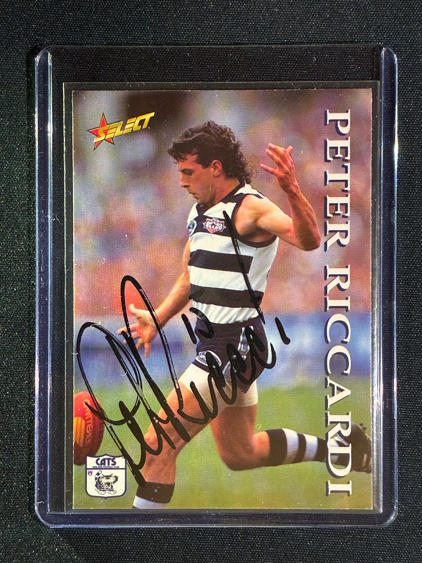 1995 Select PETER RICCARDI Base Signature Auto IP #52