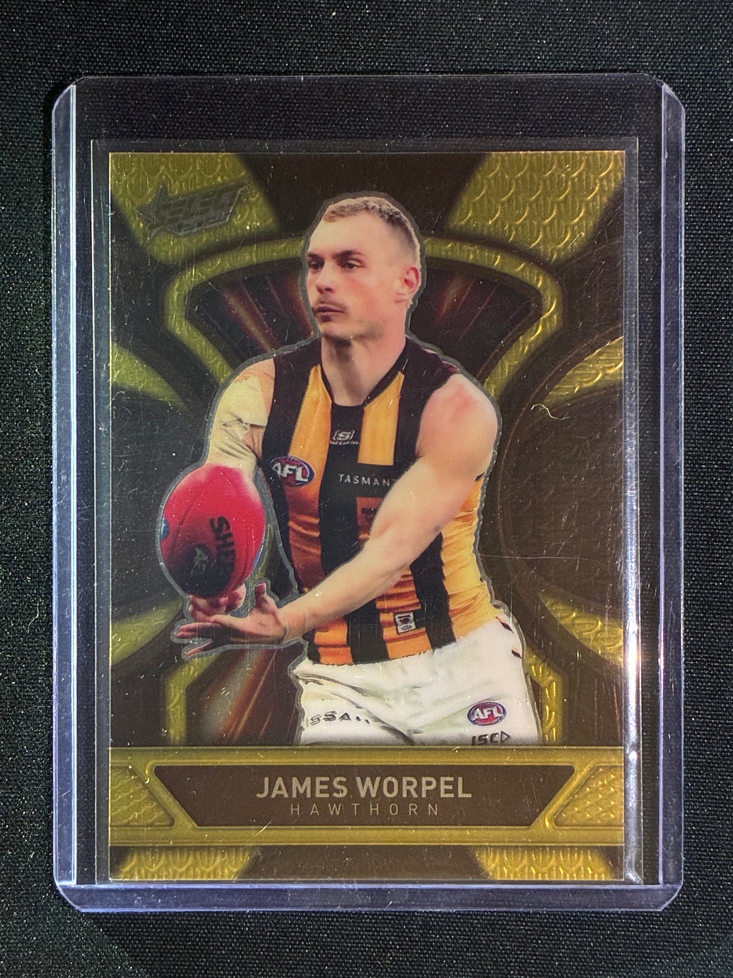 2025 Select Footy Stars JAMES WORPEL Luminous Dragon Scales 590/799 #120