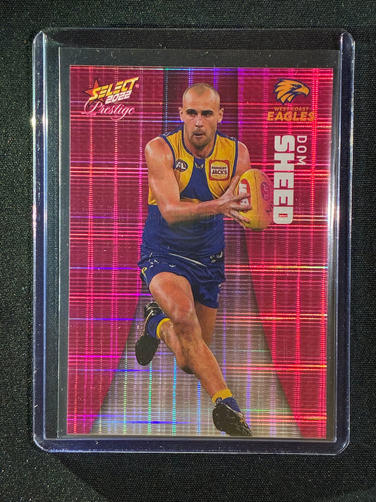 2022 Footy Stars Prestige DOM SHEED Pink Parallel 77/325