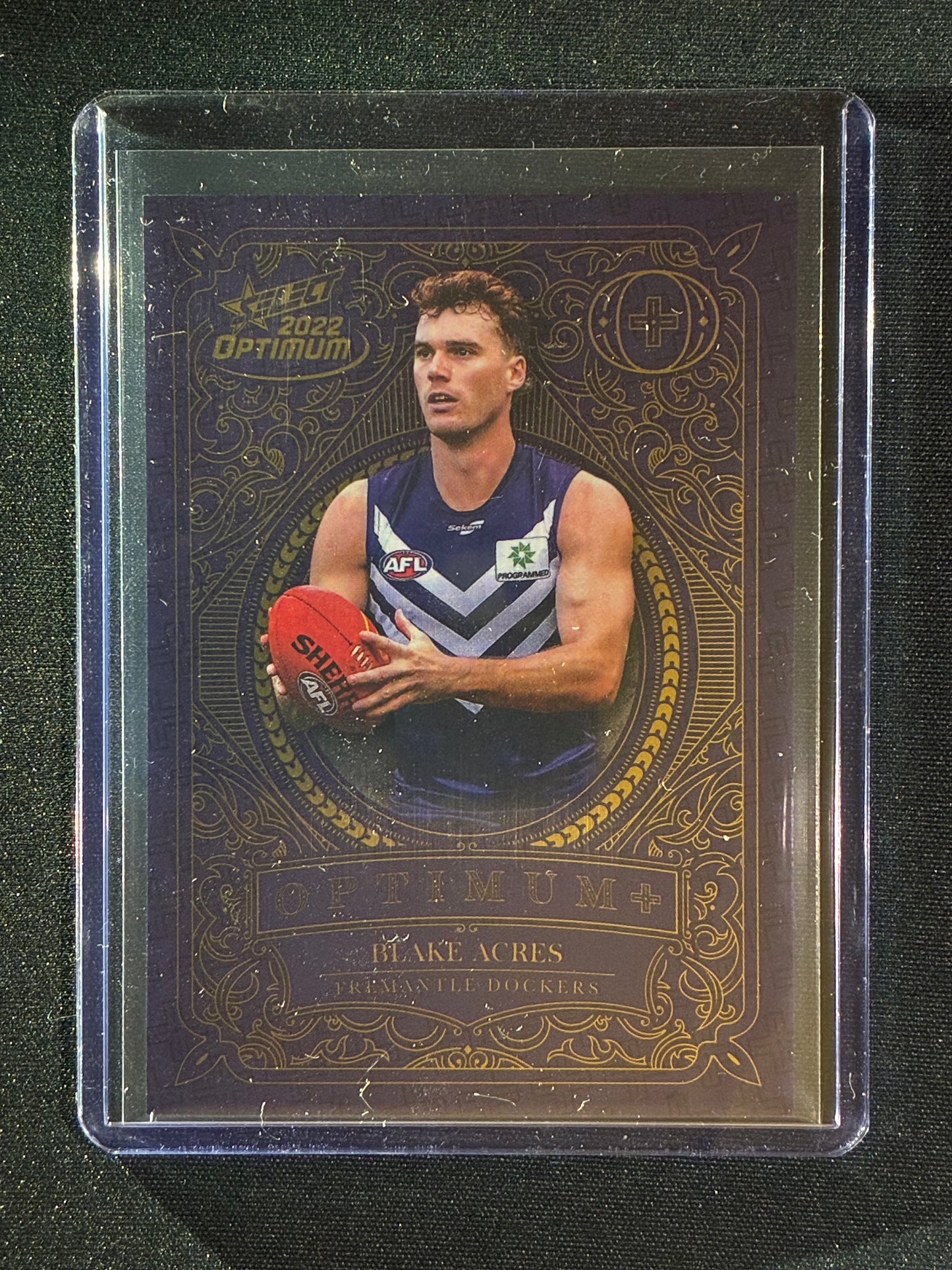2022 Optimum BLAKE ACRES Optimum+ Plus 429/450