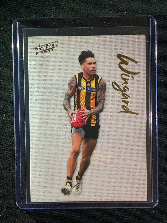 2022 Footy Stars CHAD WINGARD Blank Canvas 147/250