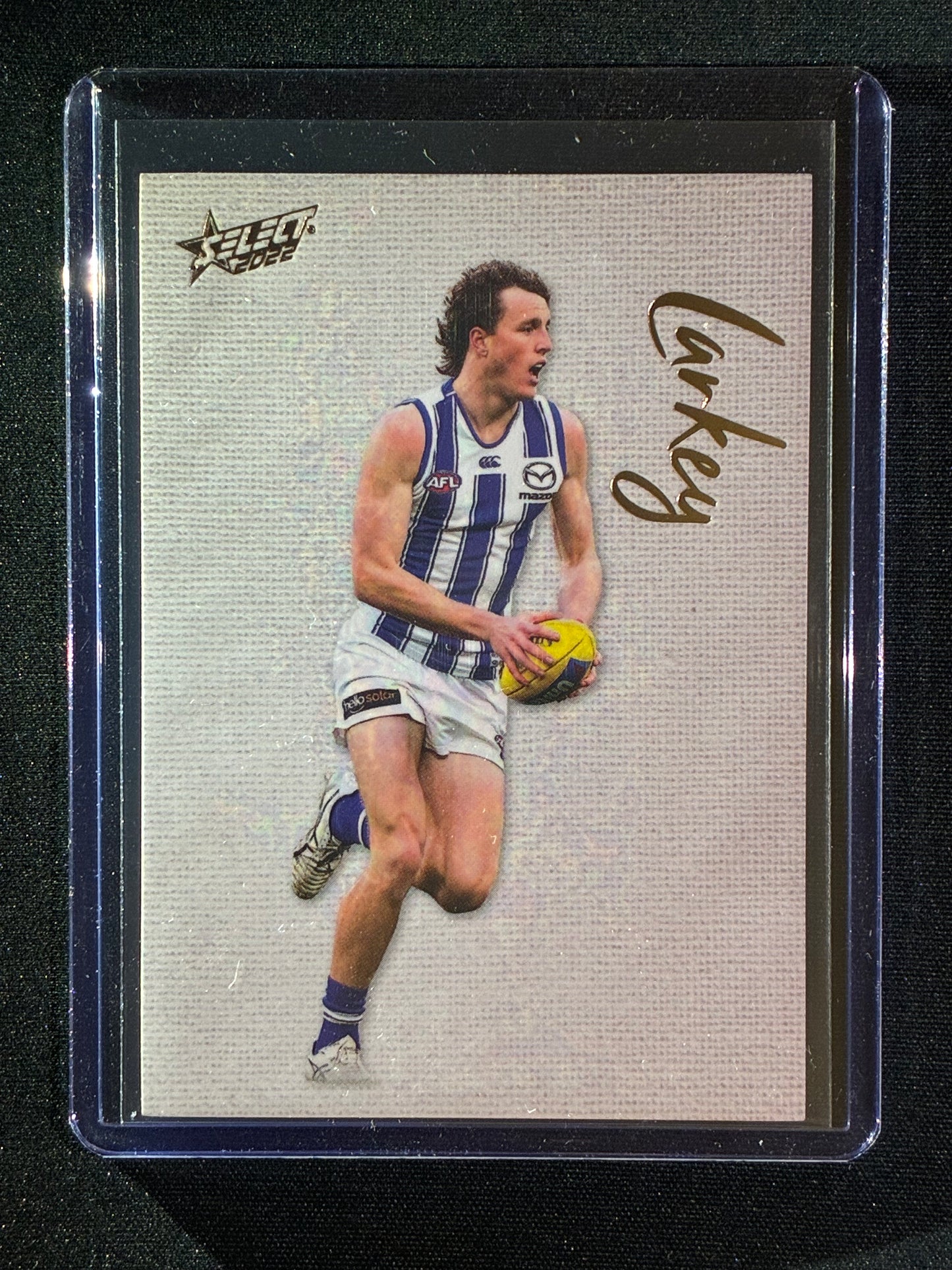 2022 Footy Stars NICK LARKEY Blank Canvas 234/250