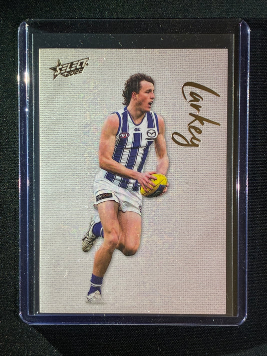 2022 Footy Stars NICK LARKEY Blank Canvas 234/250