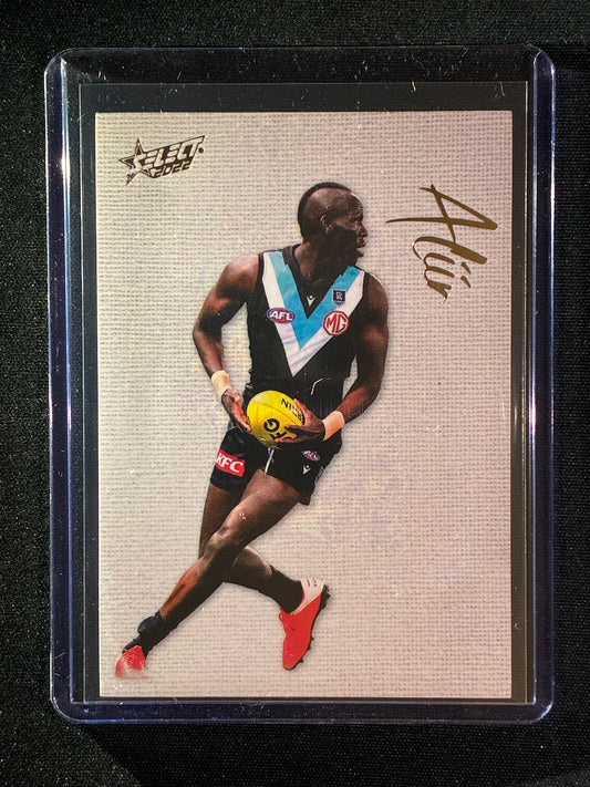 2022 Footy Stars ALIIR ALIIR Blank Canvas 213/250