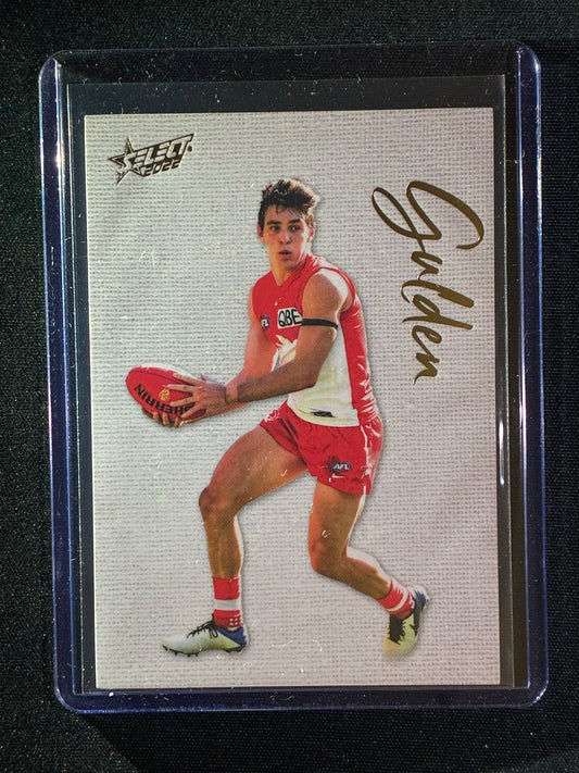 2022 Footy Stars ERROL GULDEN Blank Canvas 49/250