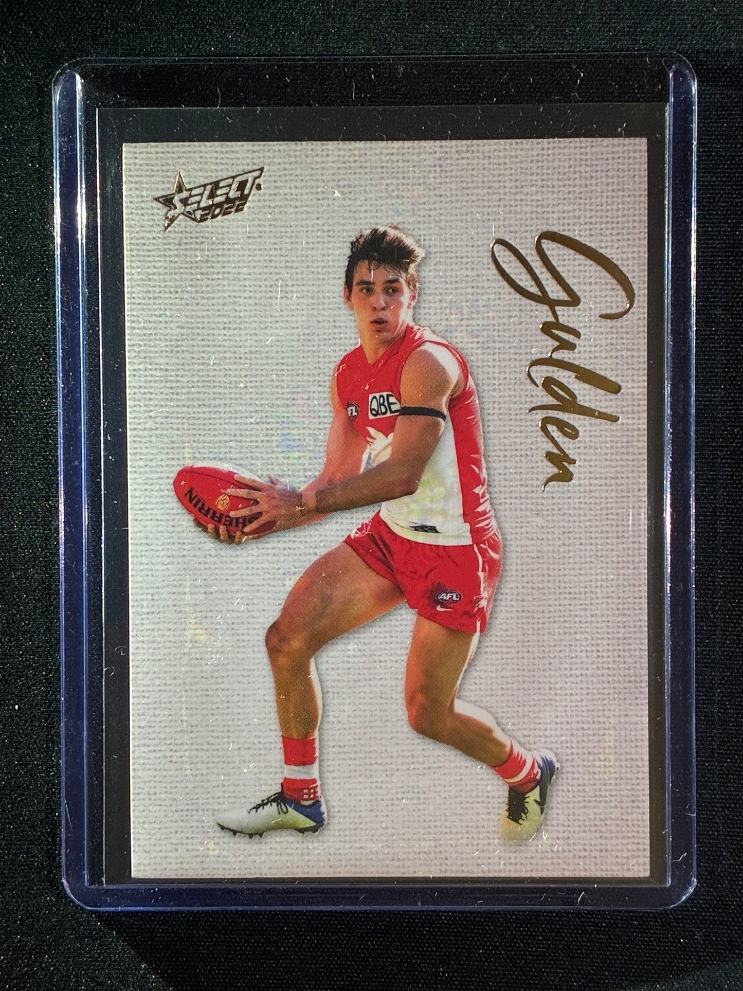 2022 Footy Stars ERROL GULDEN Blank Canvas 113/250