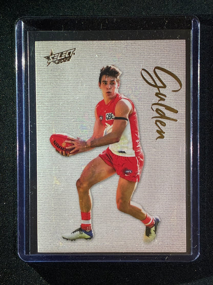 2022 Footy Stars ERROL GULDEN Blank Canvas 113/250