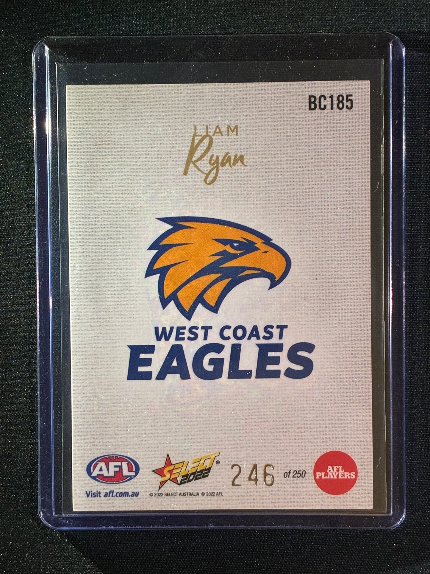 2022 Footy Stars LIAM RYAN Blank Canvas 246/250