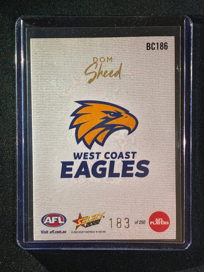 2022 Footy Stars DOM SHEED Blank Canvas 183/250