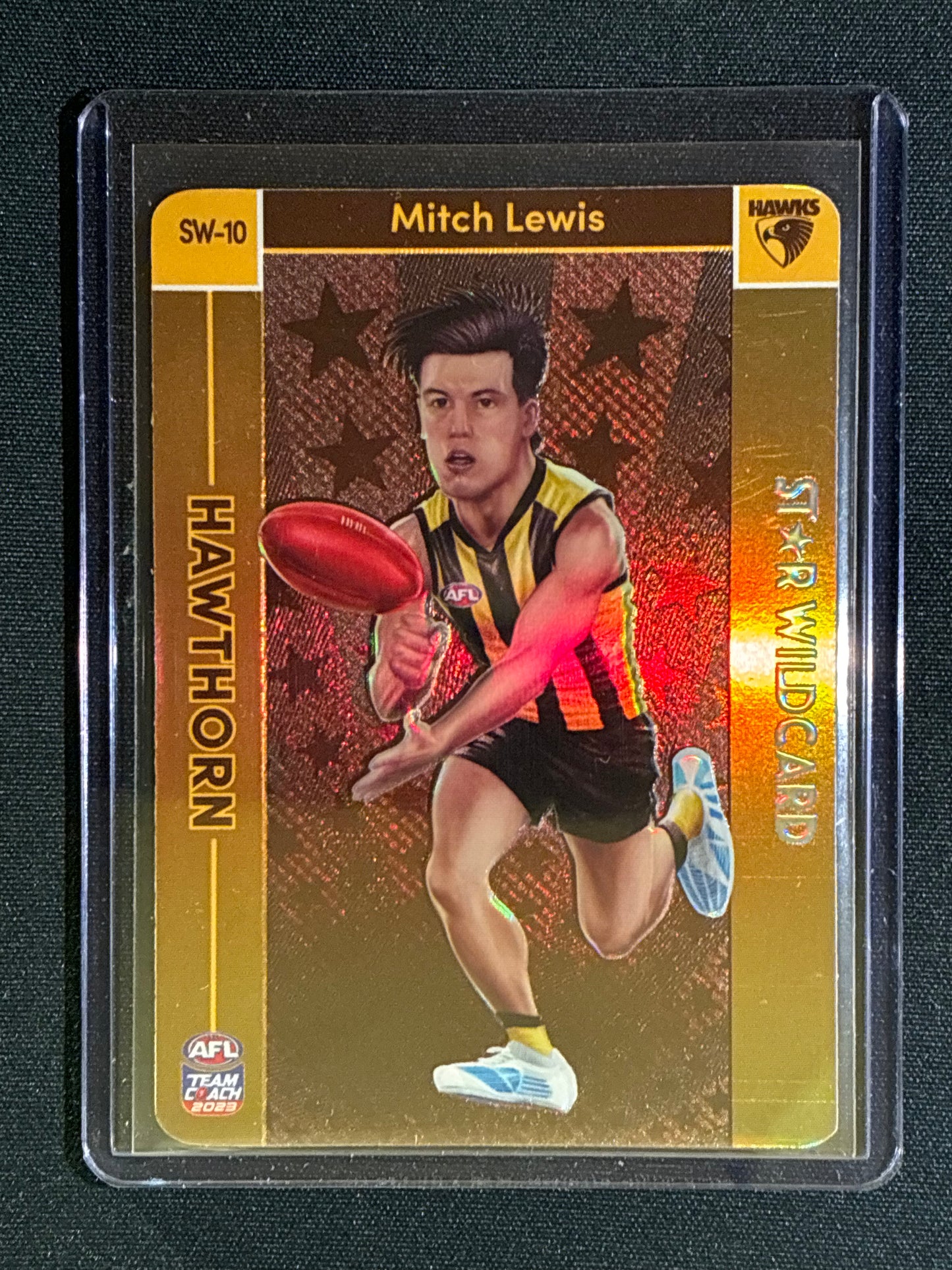 2023 Team Coach MITCH LEWIS Star Wildcard Teamcoach #10