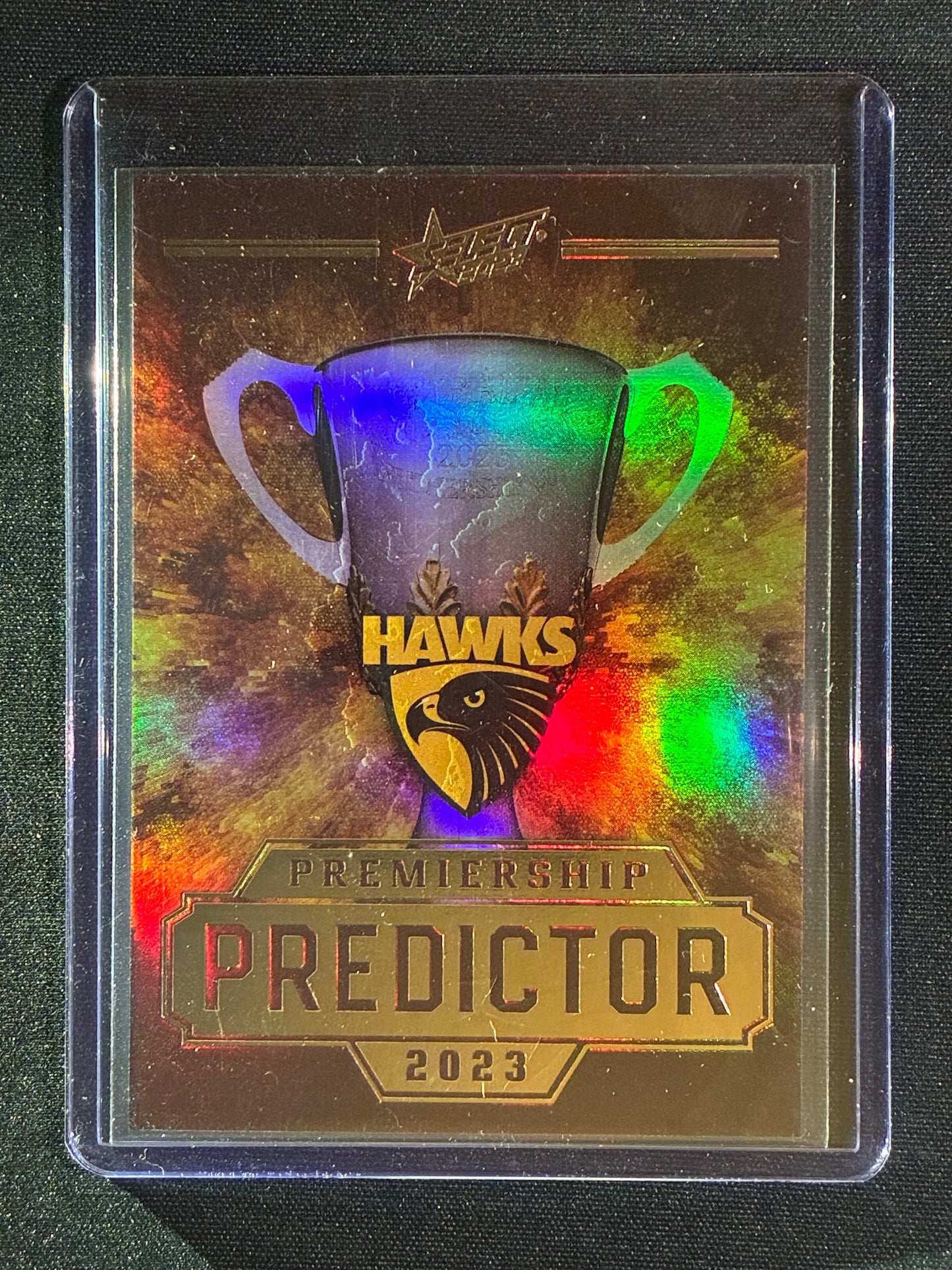 2023 Footy Stars HAWTHORN HAWKS Premiership Predictor Gold 107/260