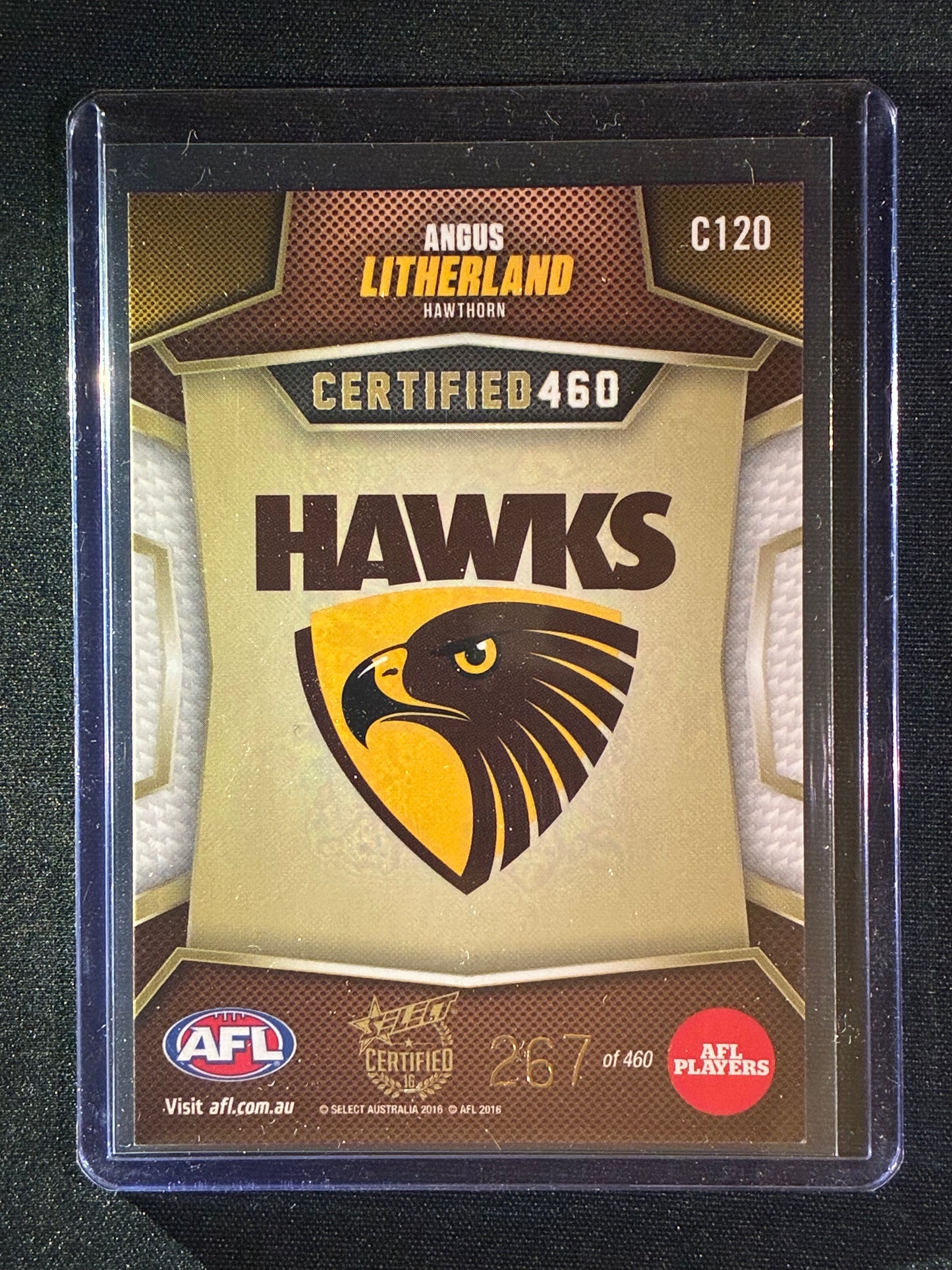 2016 Certified ANGUS LITHERLAND Certified 460 267/460